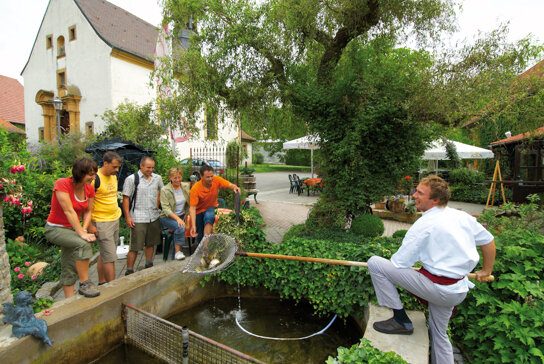 Steigerwald Gasthof Brunnenhof