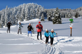 winter Langlauf c Tourismusverband Erzgebirge e.V.