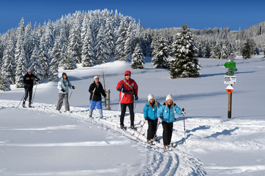 winter Langlauf c Tourismusverband Erzgebirge e.V.