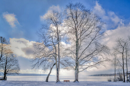 Winter am Starnberger See c gwt Starnberg GmbH-Thomas Marufke
