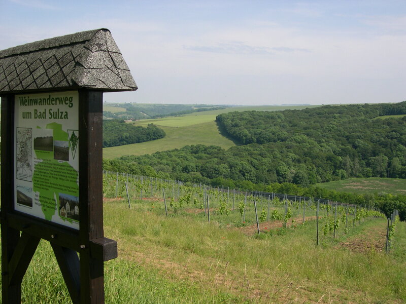 Wein Wanderweg in Bad Sulza