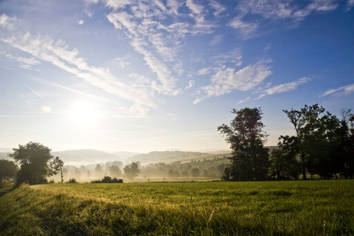 Rothaarsteig - von Brilon bis Dillenburg 