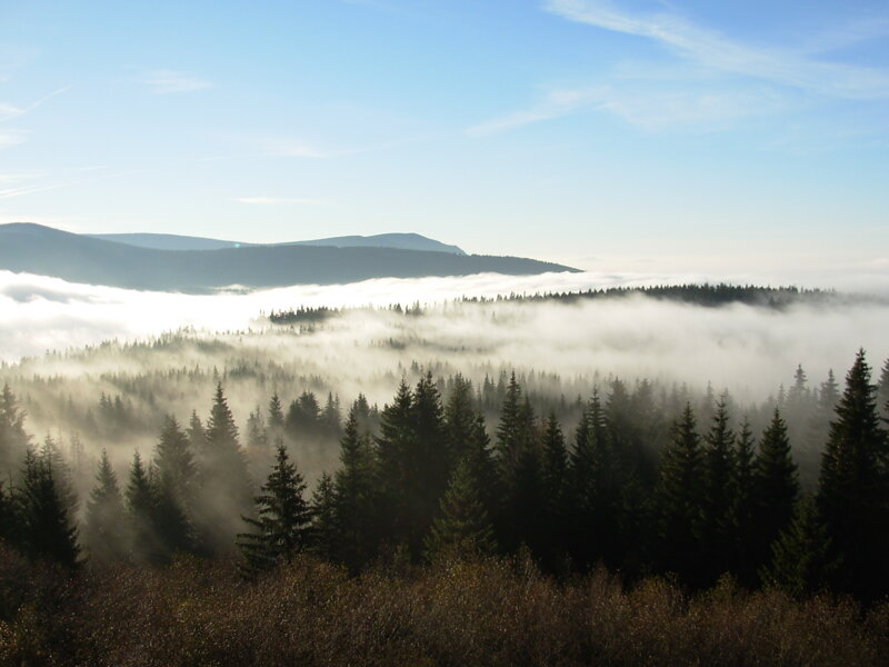 Böhmerwald im tschechischen Westböhmen