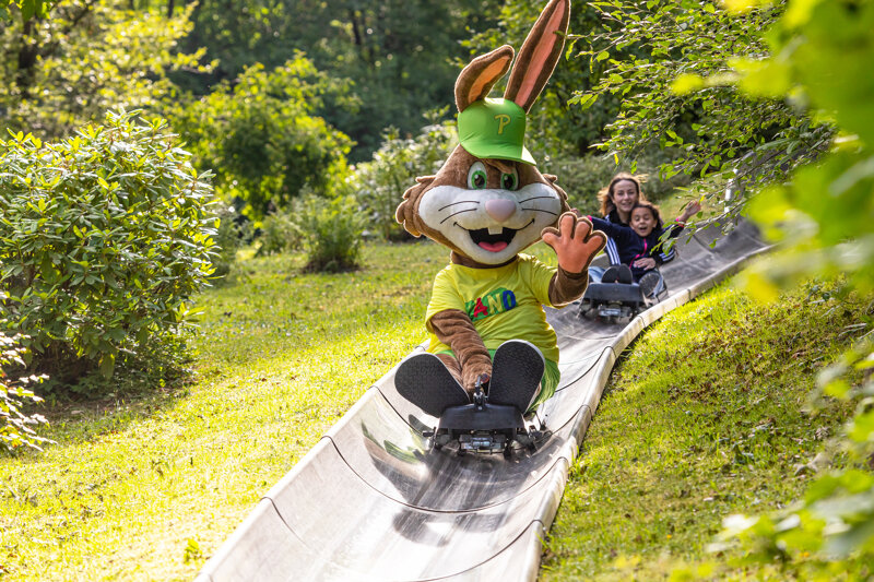 Panorama park Rodeln