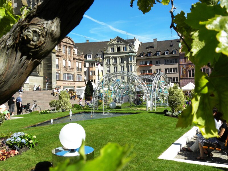 Stadtpark mit Gebäuden im Hintergrund