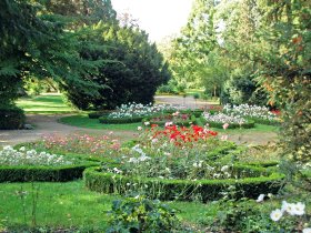 Stadtgarten C TI Singen