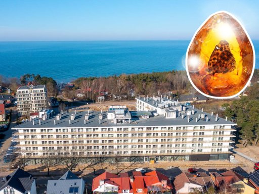 Finden Sie vor der Hoteltür das Gold der Ostsee