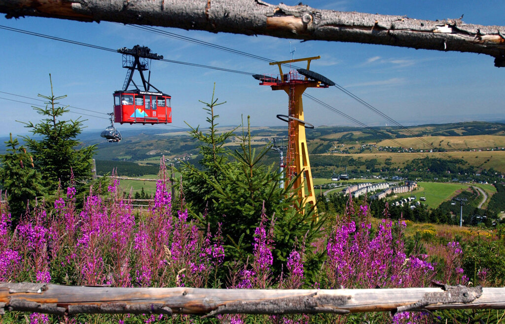 Schwebebahn Oberwiesenthal vor blauen Himmel und lila Blumen