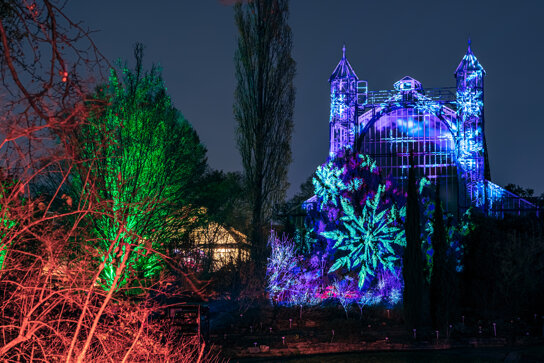 Christmas Garden Berlin 2019 - Impression 10 © Christmas Garden Deutschland
