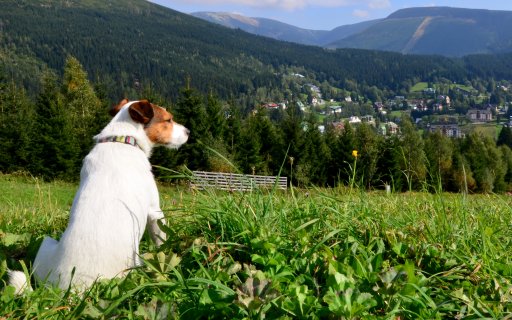 Angebote ohne Aufpreis!
