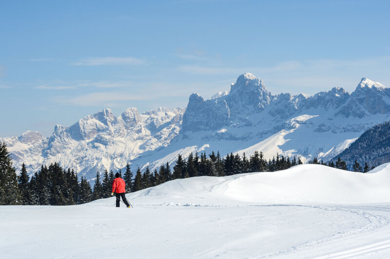 Langläufer in Winterlandschaft