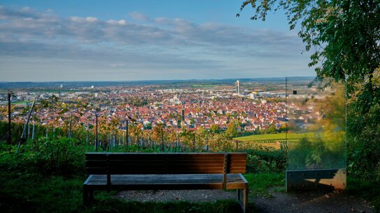 Fellbach Stadtansicht