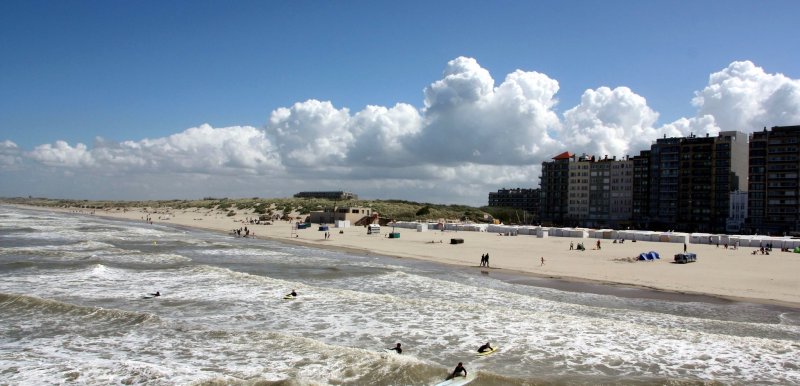 Blick auf den Strand von Blankeberge in Flandern
