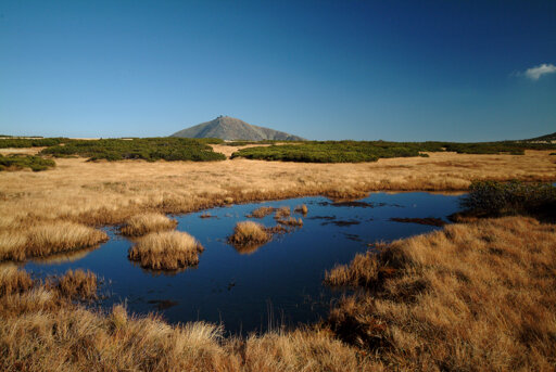 Schneekoppe  - Riesengebirge (Tschechien)