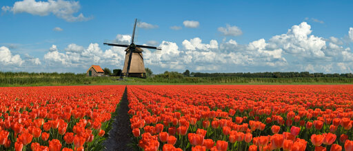 Reisethema  Niederlande