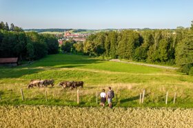 Aussichtspunkt Konohof Bildnachweis Louis Zuchtriegel