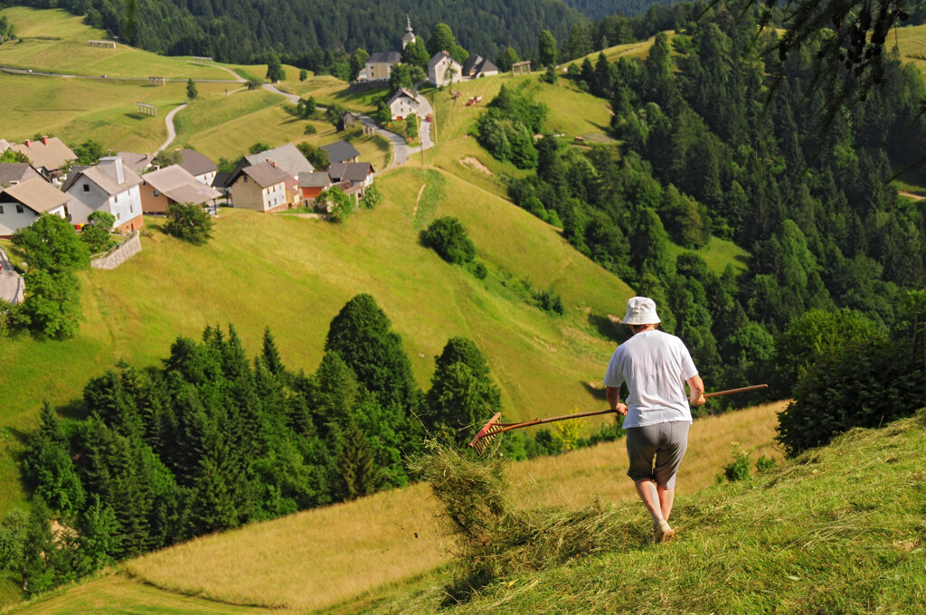 Sorica Berge Wälder Dunja Wedam www.slovenia.info