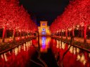 Stuttgarter Winterzauber mit Christmas Garden