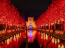 Stuttgarter Winterzauber mit Christmas Garden