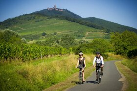 Fahrrad durch Weinberge c ADT-Infra