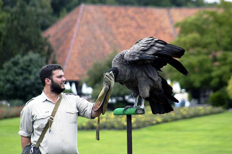 Weltvogelpark Walsrode