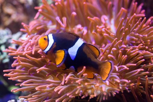 SEA LIFE Konstanz