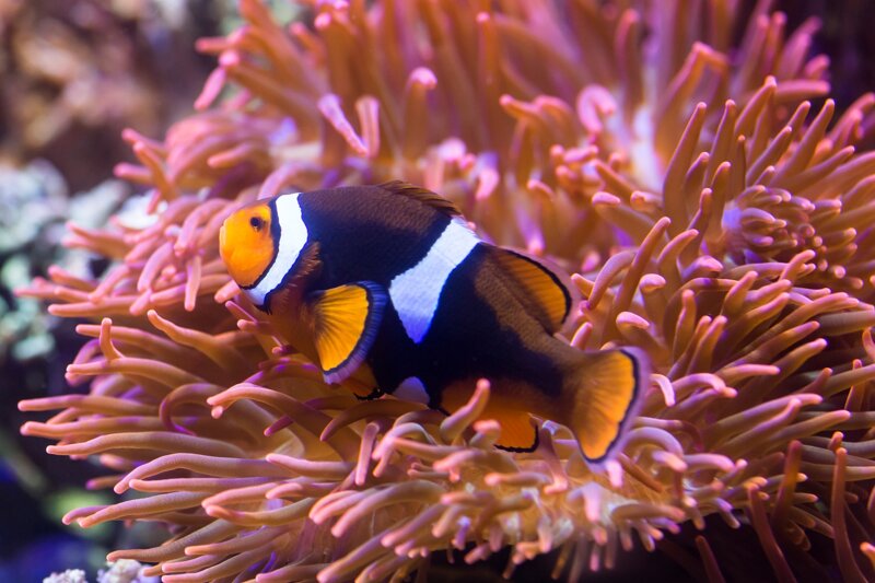 SEA LIFE Konstanz