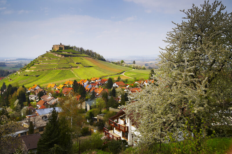 Staufen im Breisgau mit Burg – historische Nachbarstadt von Bollschweil im Hexental
