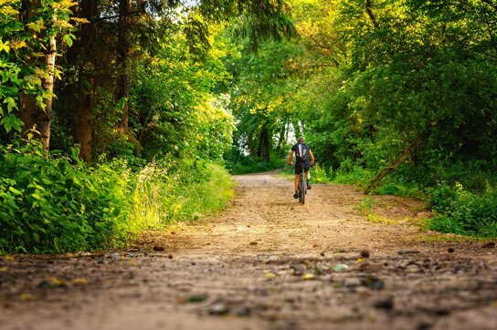 Fahrradfahrer Wald c pixabay