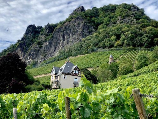 NRW-Wein, Rheinschiff, Adenauers Lieblingstorte