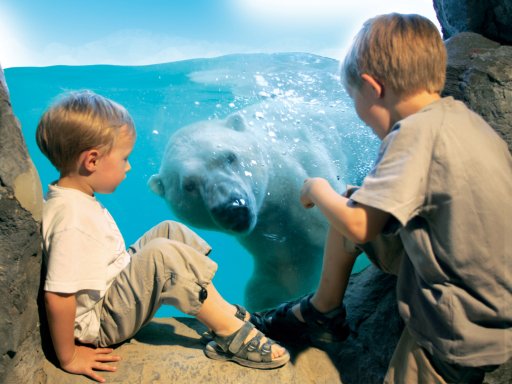 Ihre tierische Weltreise beginnt in Gelsenkirchen