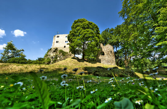 FTK 021 Burgruine Bad Liebenstein ohne c