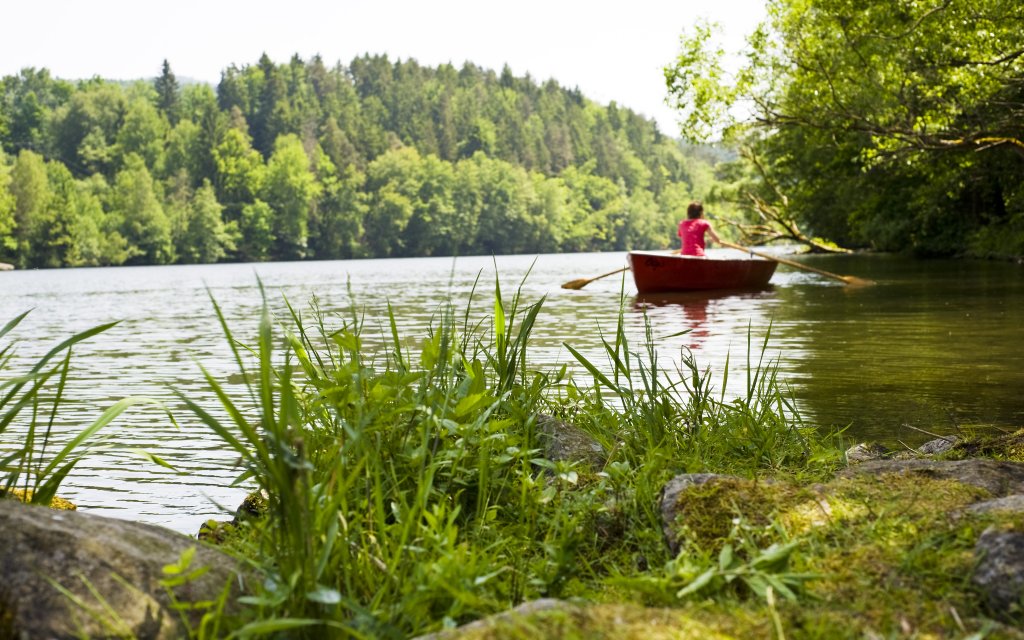 Wanderurlaub im Bayerischen Wald