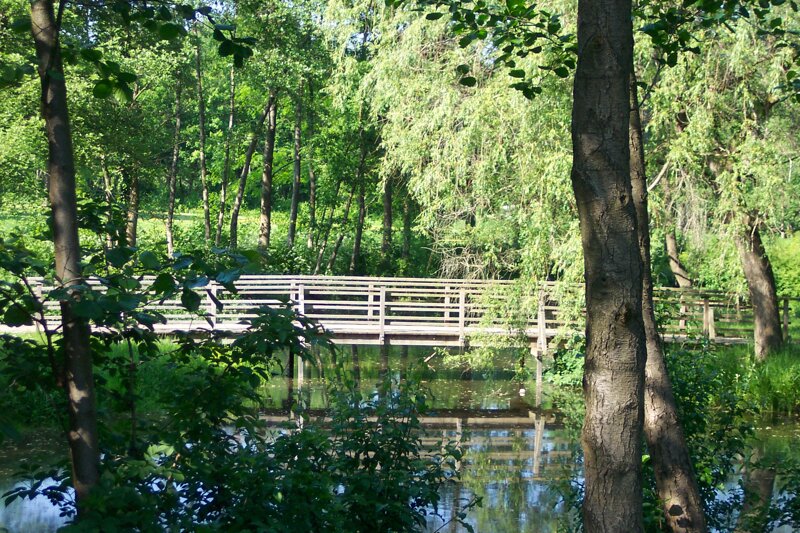 Brücke über einen See