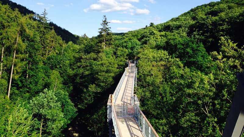 Baumwipfelpfad Harz
