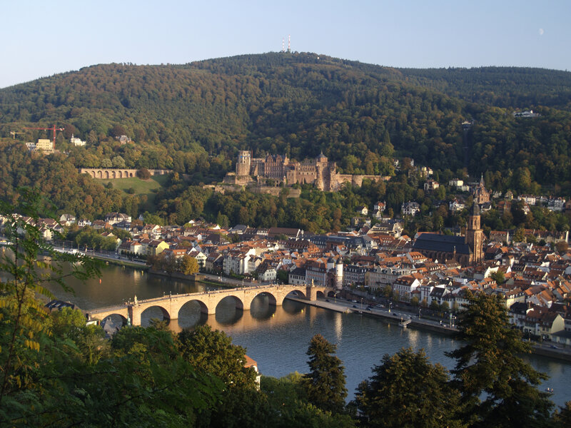 Blick auf die Altstadt und das Schloss