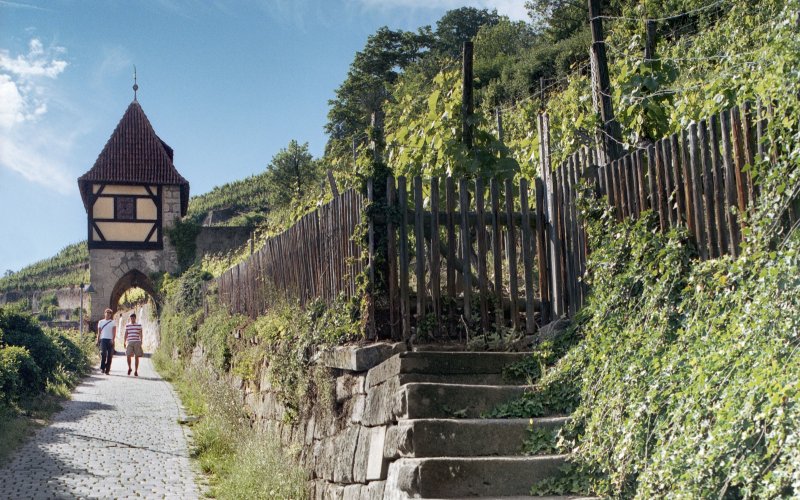 Paar wandert in Weinbergen um Esslingen