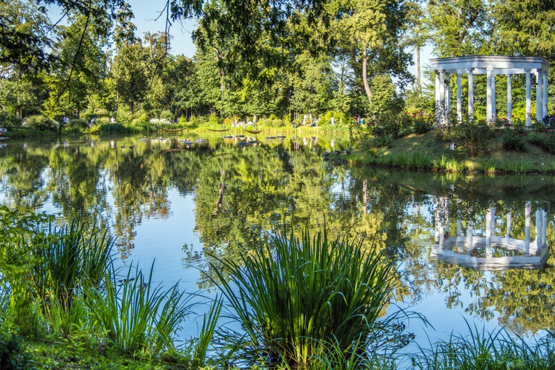 Kurgarten Bad Homburg – Allee im historischen Kurpark