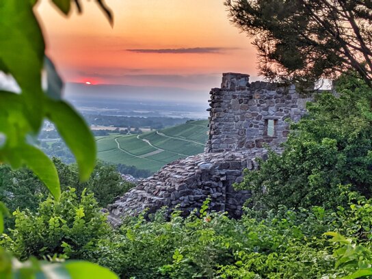 Burg Badenweiler 2021 © Mathias Hollerbach (1)