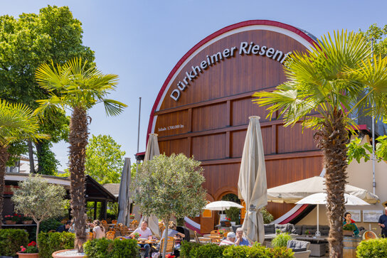 Riesenfass 1 © Pfalz Touristik, Heimatlichter GmbH