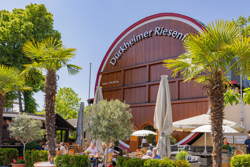 Riesenfass mit sommerlicher Außenanlage