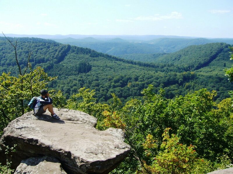 Aussichtspunkt ins Tal Pfälzerwald