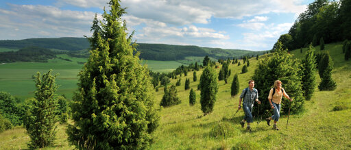 Reisethema  Rhön