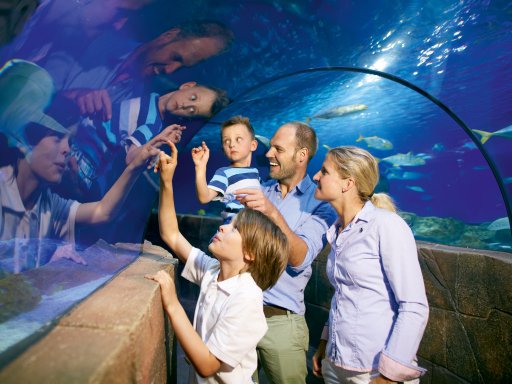 Ausflug in die Wasserwelt von Nemo und Dori