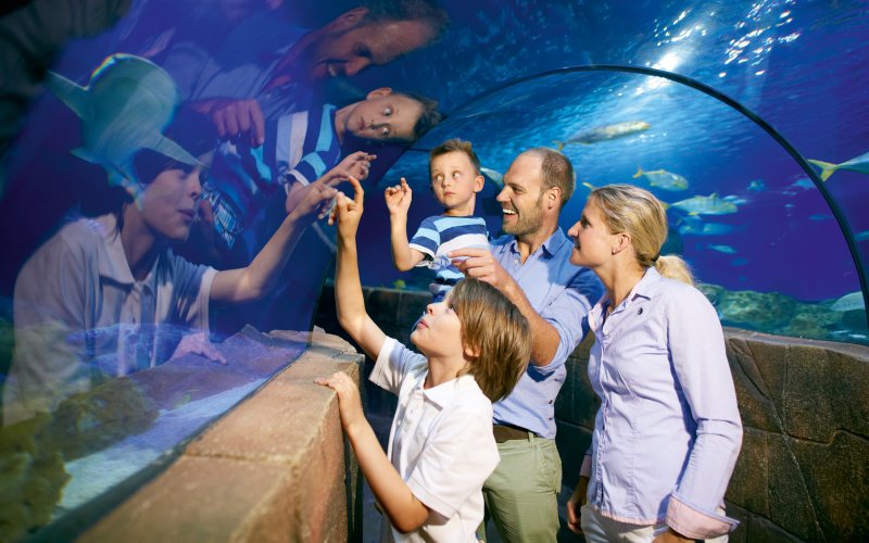 Familie im Sea Life Hannover