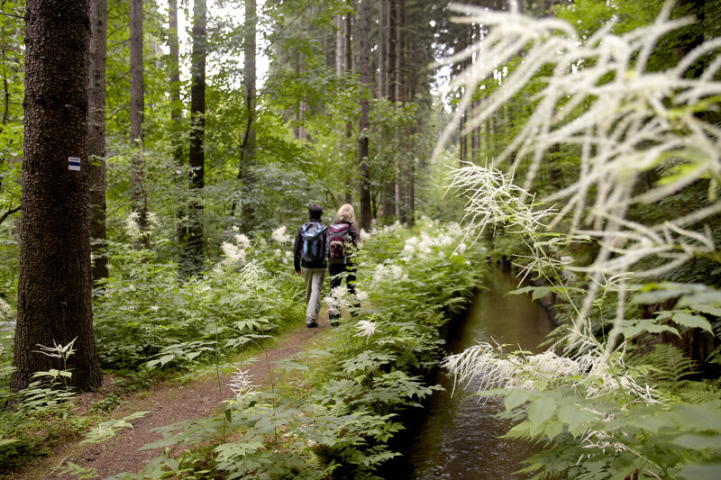 Landschaft im Erzgebirge – Natur pur für einen unvergesslichen Wellness-Kurzurlaub