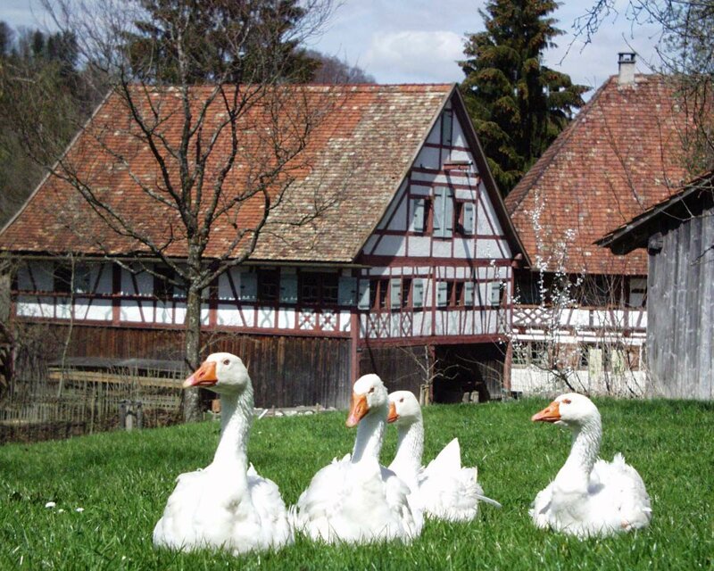 Bauernhaus-Museum Wolfegg – historische Gebäude © Stadt Wolfegg / Gottfried Brauchle