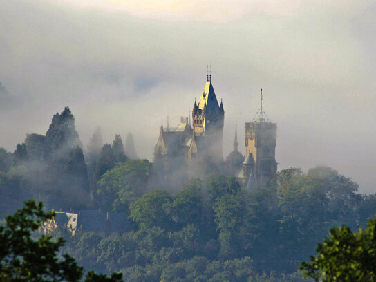 Schloss Drachenburg Nebel