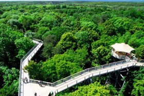 Baumkronenpfad c Rüdiger Biehl