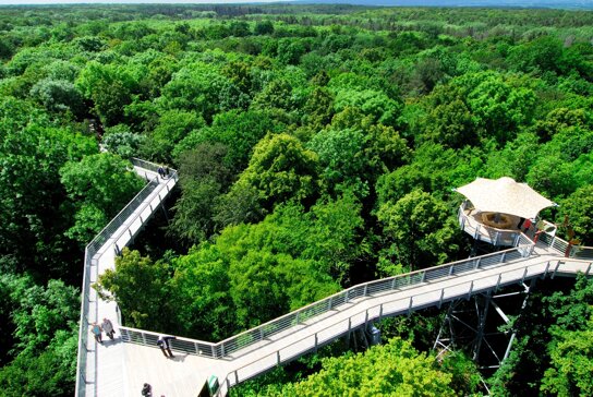 Baumkronenpfad c Rüdiger Biehl